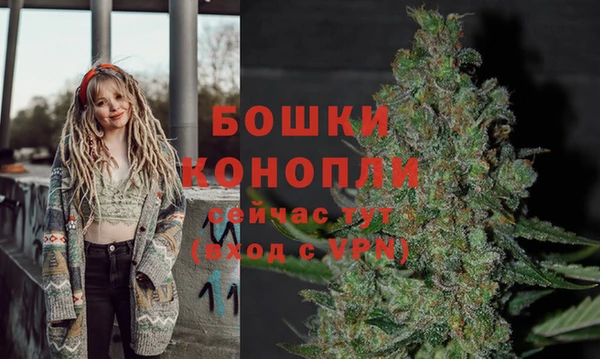 стафф Медвежьегорск