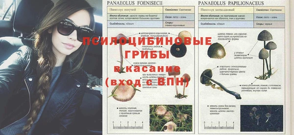 ALPHA PVP Мегион