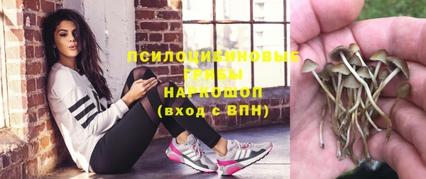 стафф Медвежьегорск