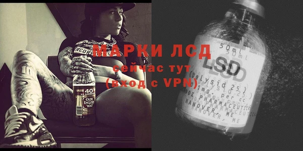 PSILOCYBIN Медногорск