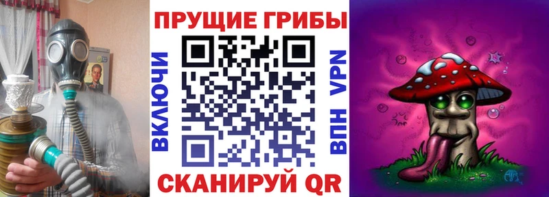 Псилоцибиновые грибы Psilocybe  Суздаль 